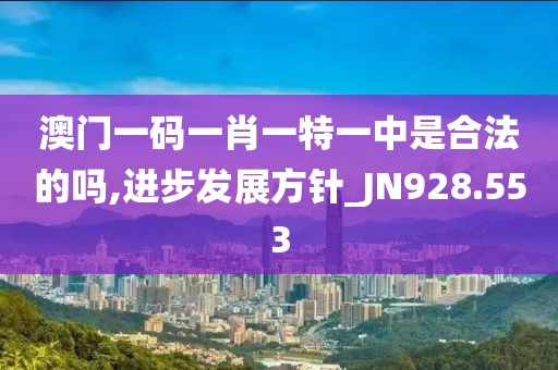 澳门一码一肖一特一中是合法的吗,进步发展方针_JN928.553