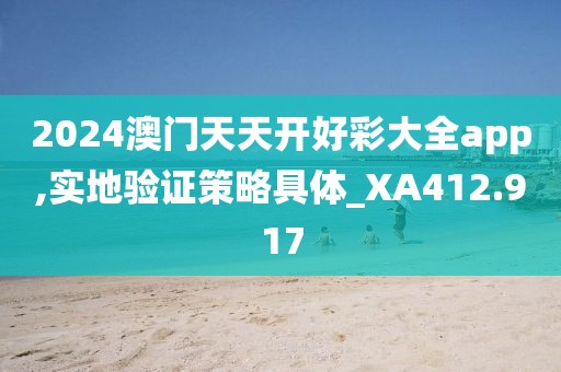 2024澳门天天开好彩大全app,实地验证策略具体_XA412.917