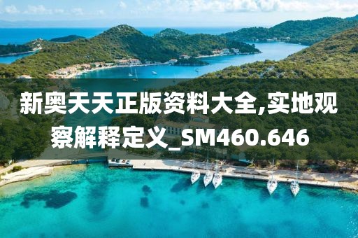 新奥天天正版资料大全,实地观察解释定义_SM460.646