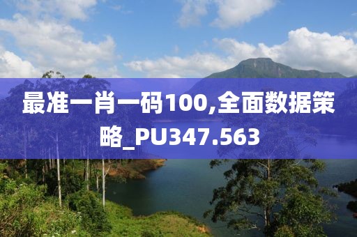 最准一肖一码100,全面数据策略_PU347.563