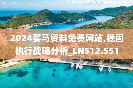 2024买马资料免费网站,稳固执行战略分析_LN512.551