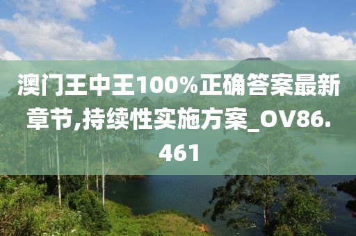澳门王中王100%正确答案最新章节,持续性实施方案_OV86.461