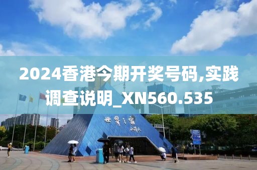 2024香港今期开奖号码,实践调查说明_XN560.535