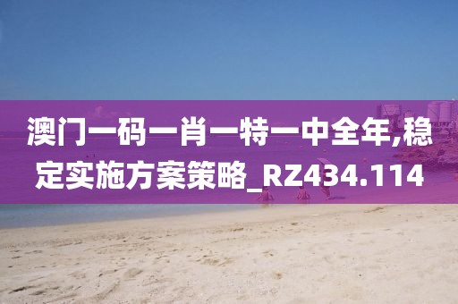 澳门一码一肖一特一中全年,稳定实施方案策略_RZ434.114