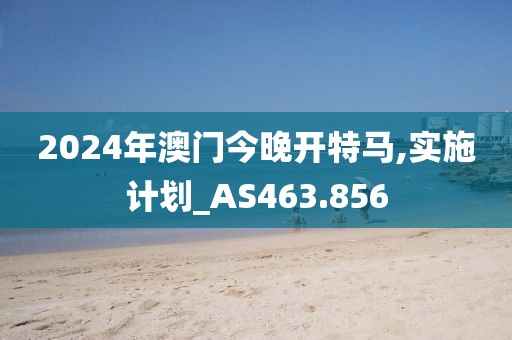 2024年澳门今晚开特马,实施计划_AS463.856