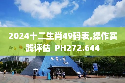 2024十二生肖49码表,操作实践评估_PH272.644