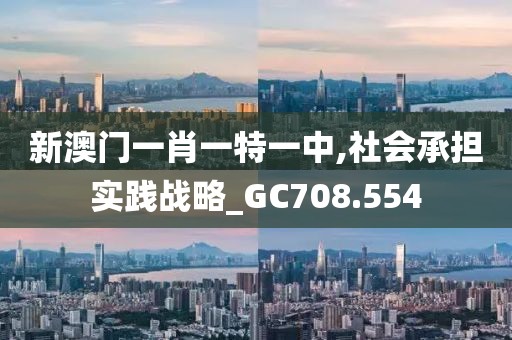 新澳门一肖一特一中,社会承担实践战略_GC708.554