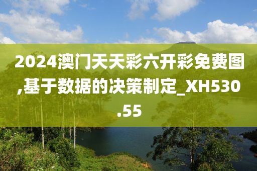 2024澳门天天彩六开彩免费图,基于数据的决策制定_XH530.55