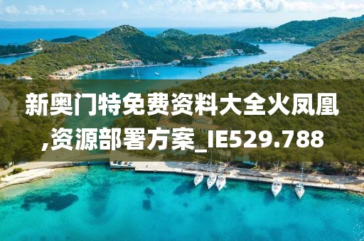 新奥门特免费资料大全火凤凰,资源部署方案_IE529.788