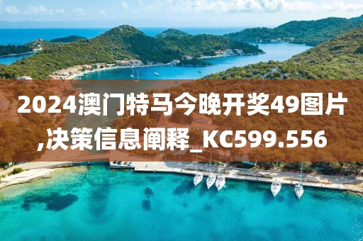 2024澳门特马今晚开奖49图片,决策信息阐释_KC599.556