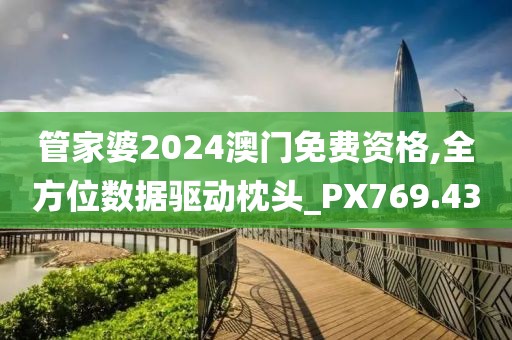 管家婆2024澳门免费资格,全方位数据驱动枕头_PX769.43