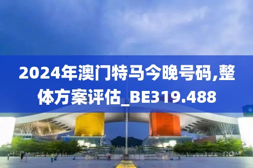 2024年澳门特马今晚号码,整体方案评估_BE319.488