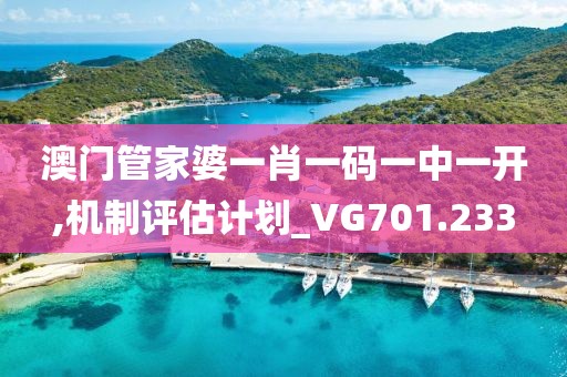 澳门管家婆一肖一码一中一开,机制评估计划_VG701.233