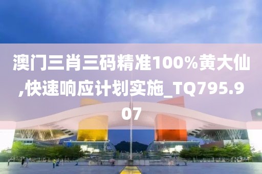 澳门三肖三码精准100%黄大仙,快速响应计划实施_TQ795.907