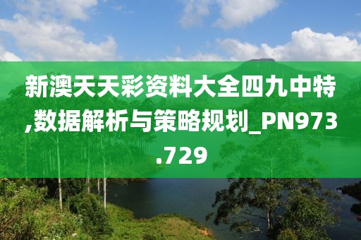 新澳天天彩资料大全四九中特,数据解析与策略规划_PN973.729