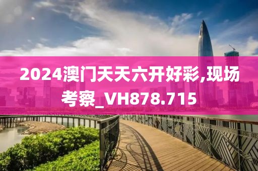 2024澳门天天六开好彩,现场考察_VH878.715