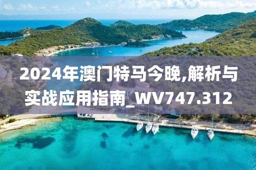 2024年澳门特马今晚,解析与实战应用指南_WV747.312