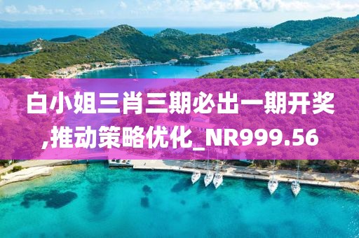 白小姐三肖三期必出一期开奖,推动策略优化_NR999.56