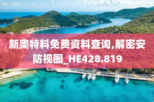 新奥特料免费资料查询,解密安防视图_HE428.819