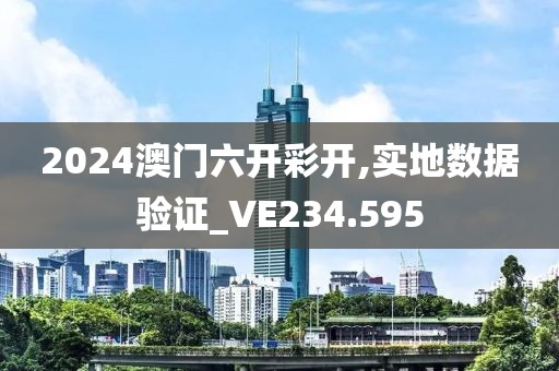 2024澳门六开彩开,实地数据验证_VE234.595