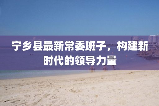 宁乡县最新常委班子，构建新时代的领导力量
