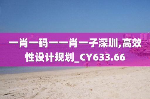一肖一码一一肖一子深圳,高效性设计规划_CY633.66