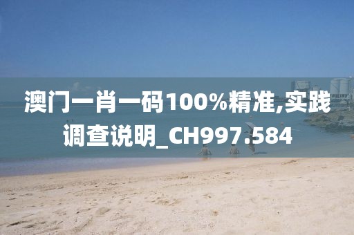澳门一肖一码100%精准,实践调查说明_CH997.584