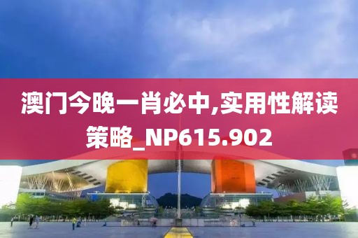 澳门今晚一肖必中,实用性解读策略_NP615.902