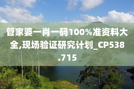 管家婆一肖一码100%准资料大全,现场验证研究计划_CP538.715