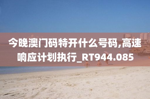 今晚澳门码特开什么号码,高速响应计划执行_RT944.085
