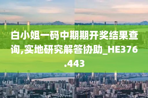 白小姐一码中期期开奖结果查询,实地研究解答协助_HE376.443
