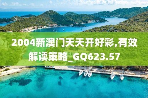 2004新澳门天天开好彩,有效解读策略_GQ623.57