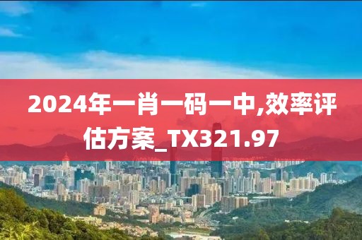 2024年一肖一码一中,效率评估方案_TX321.97