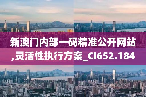 新澳门内部一码精准公开网站,灵活性执行方案_CI652.184