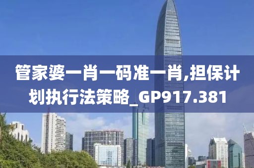 管家婆一肖一码准一肖,担保计划执行法策略_GP917.381