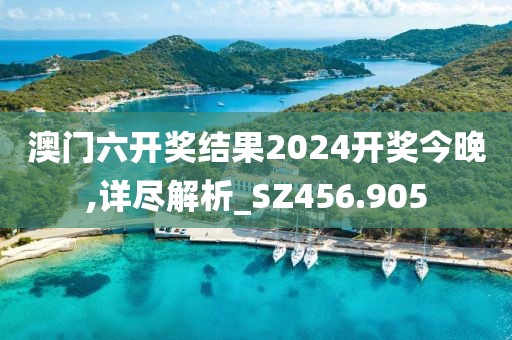 澳门六开奖结果2024开奖今晚,详尽解析_SZ456.905