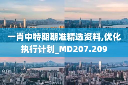 一肖中特期期准精选资料,优化执行计划_MD207.209