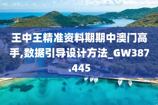 王中王精准资料期期中澳门高手,数据引导设计方法_GW387.445