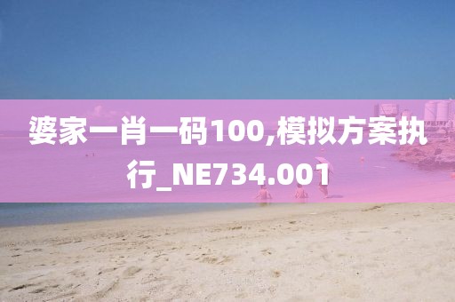 婆家一肖一码100,模拟方案执行_NE734.001