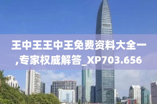 王中王王中王免费资料大全一,专家权威解答_XP703.656
