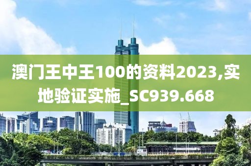 澳门王中王100的资料2023,实地验证实施_SC939.668