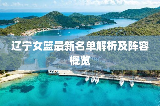 辽宁女篮最新名单解析及阵容概览