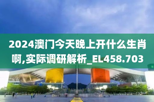 2024澳门今天晚上开什么生肖啊,实际调研解析_EL458.703
