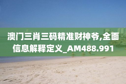 澳门三肖三码精准财神爷,全面信息解释定义_AM488.991