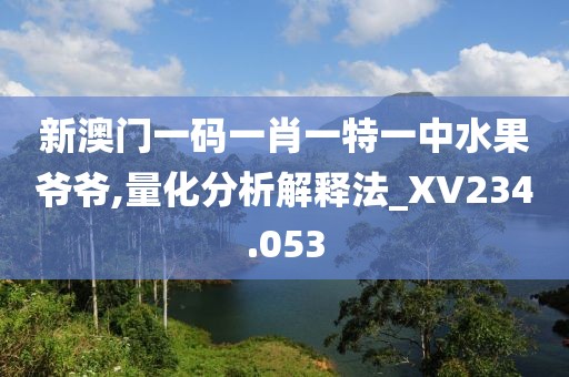 新澳门一码一肖一特一中水果爷爷,量化分析解释法_XV234.053