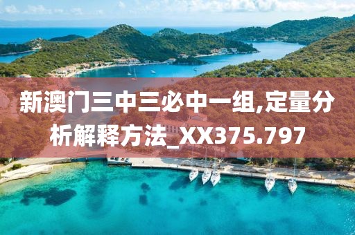 新澳门三中三必中一组,定量分析解释方法_XX375.797