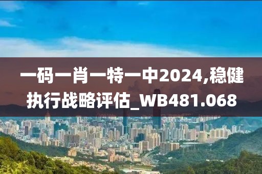 一码一肖一特一中2024,稳健执行战略评估_WB481.068