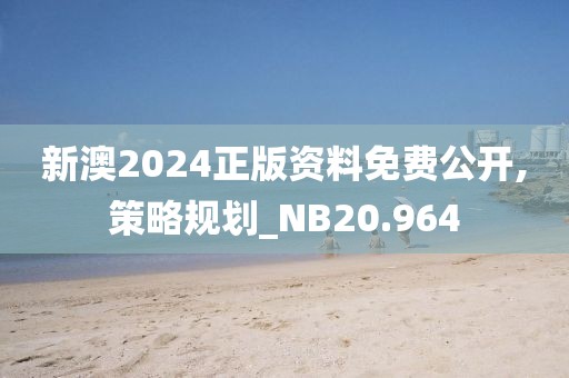 新澳2024正版资料免费公开,策略规划_NB20.964