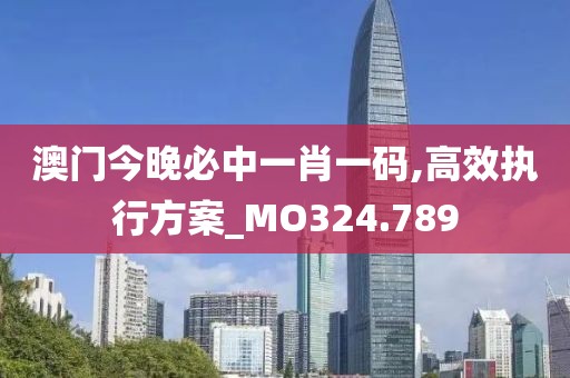 澳门今晚必中一肖一码,高效执行方案_MO324.789