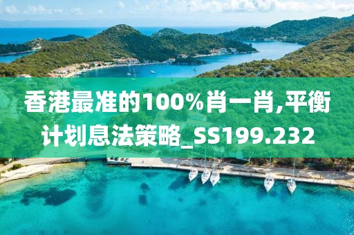 香港最准的100%肖一肖,平衡计划息法策略_SS199.232